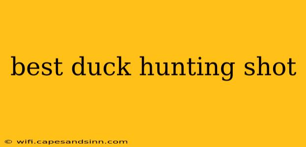 best duck hunting shot