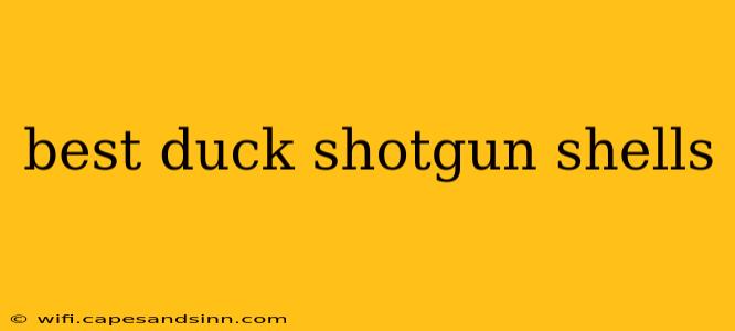 best duck shotgun shells