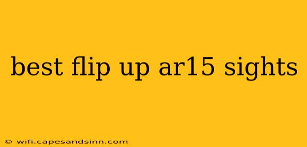 best flip up ar15 sights