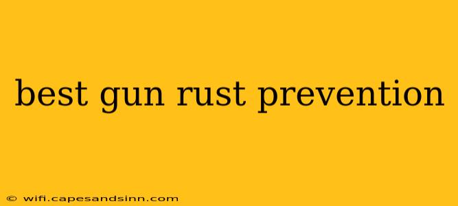 best gun rust prevention