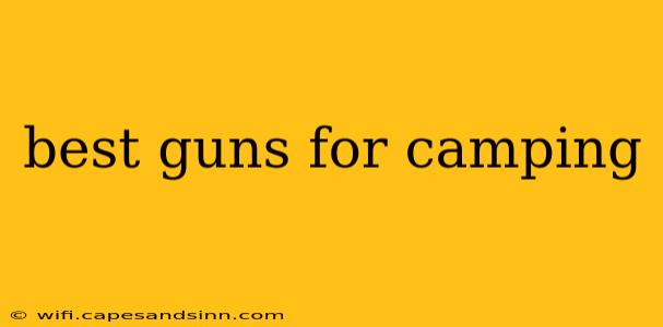 best guns for camping