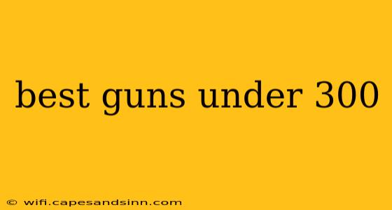 best guns under 300