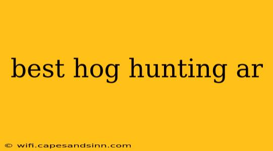 best hog hunting ar