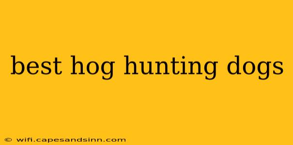 best hog hunting dogs