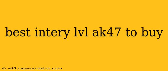 best intery lvl ak47 to buy