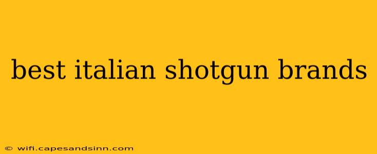 best italian shotgun brands