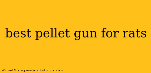 best pellet gun for rats