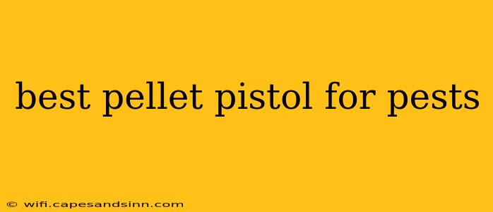 best pellet pistol for pests