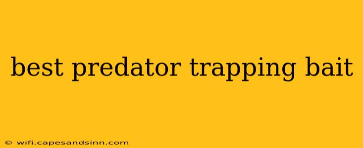 best predator trapping bait