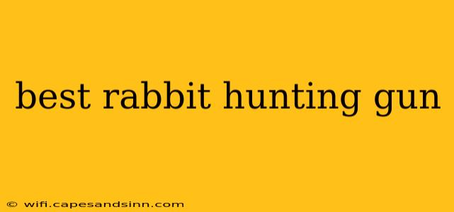 best rabbit hunting gun