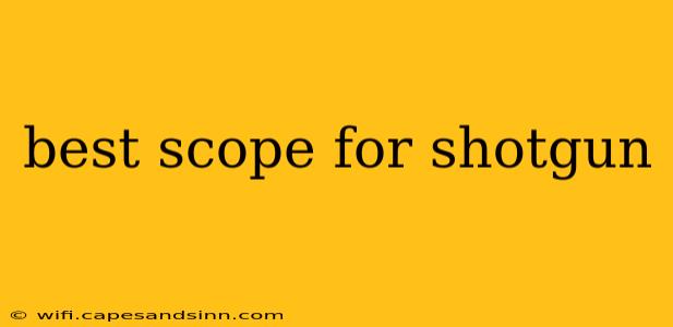 best scope for shotgun