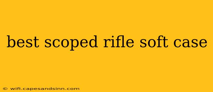 best scoped rifle soft case