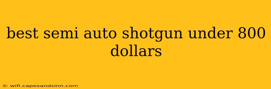 best semi auto shotgun under 800 dollars