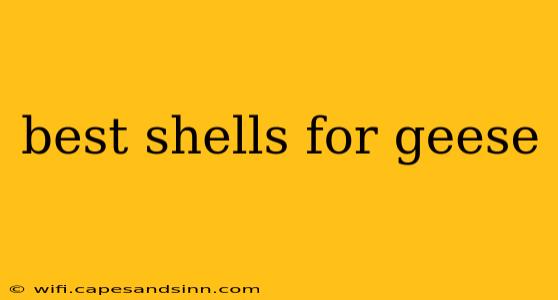 best shells for geese