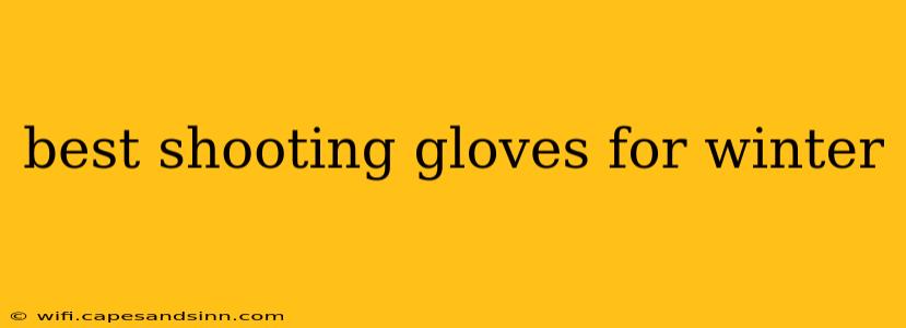 best shooting gloves for winter