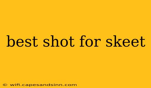 best shot for skeet