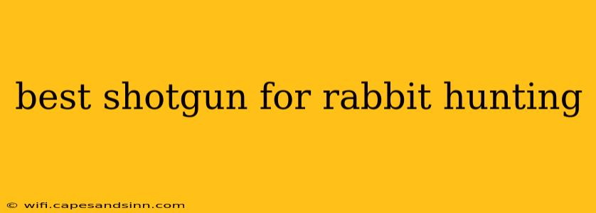 best shotgun for rabbit hunting