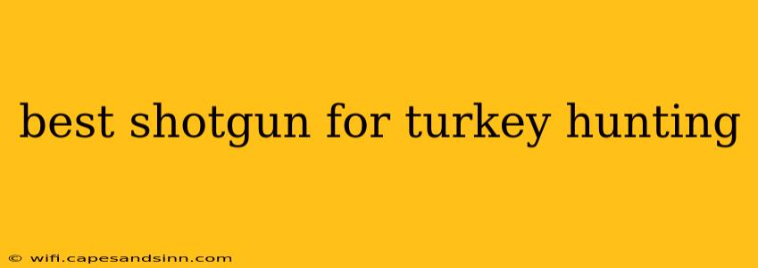 best shotgun for turkey hunting