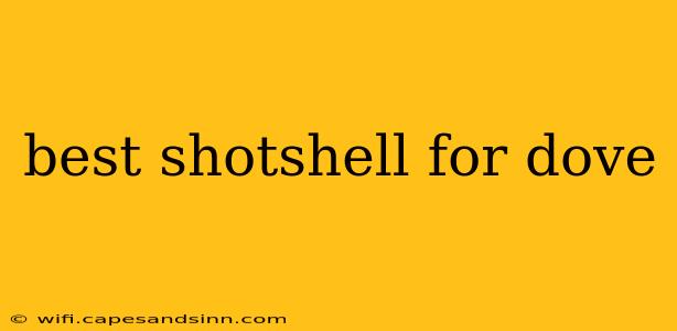 best shotshell for dove