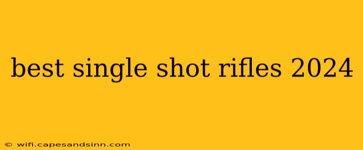 best single shot rifles 2024