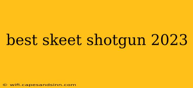 best skeet shotgun 2023