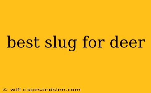 best slug for deer