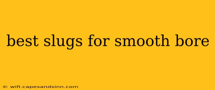 best slugs for smooth bore