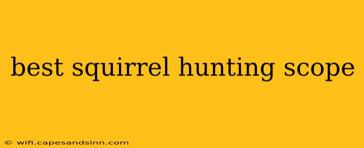 best squirrel hunting scope