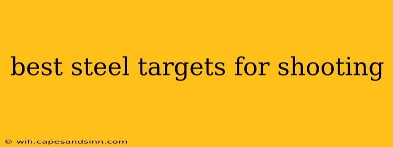 best steel targets for shooting