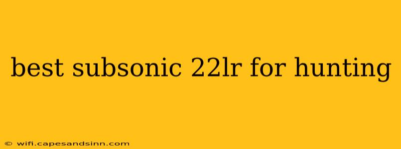 best subsonic 22lr for hunting