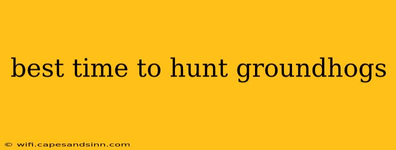 best time to hunt groundhogs