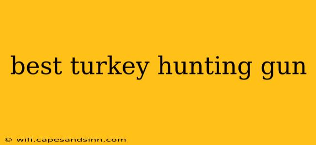 best turkey hunting gun