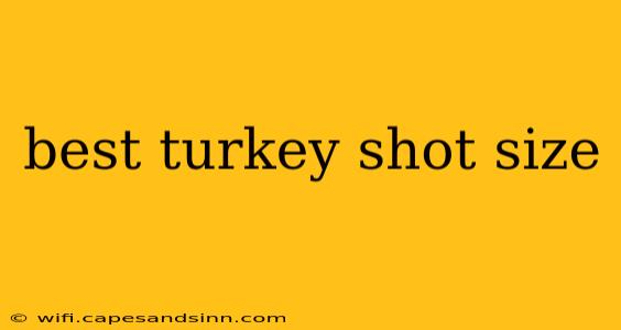 best turkey shot size