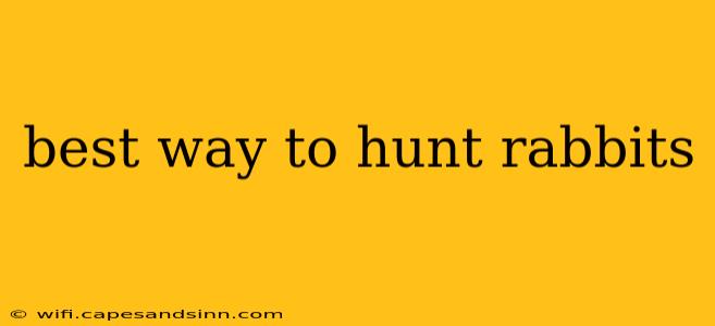 best way to hunt rabbits