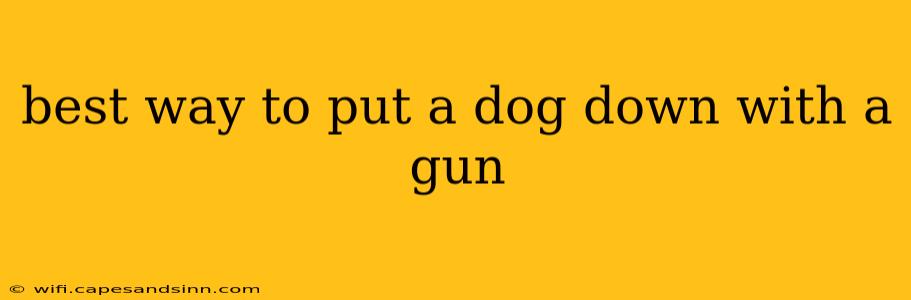 best way to put a dog down with a gun