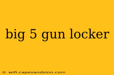 big 5 gun locker