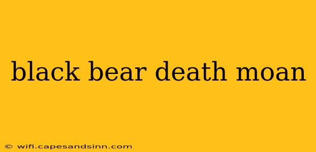 black bear death moan