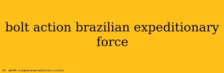 bolt action brazilian expeditionary force