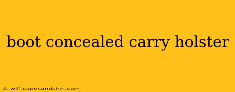 boot concealed carry holster