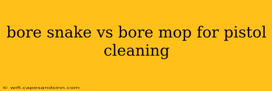 bore snake vs bore mop for pistol cleaning