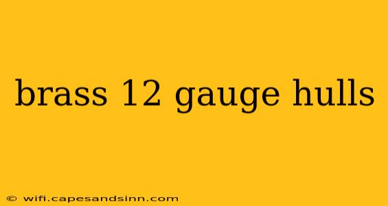 brass 12 gauge hulls