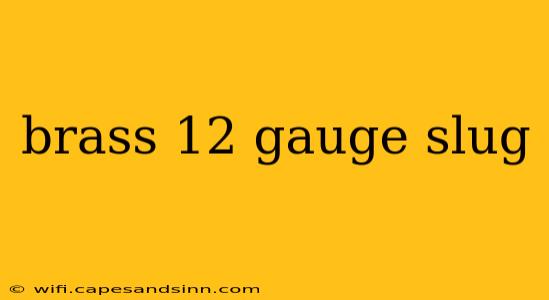 brass 12 gauge slug