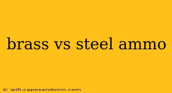 brass vs steel ammo