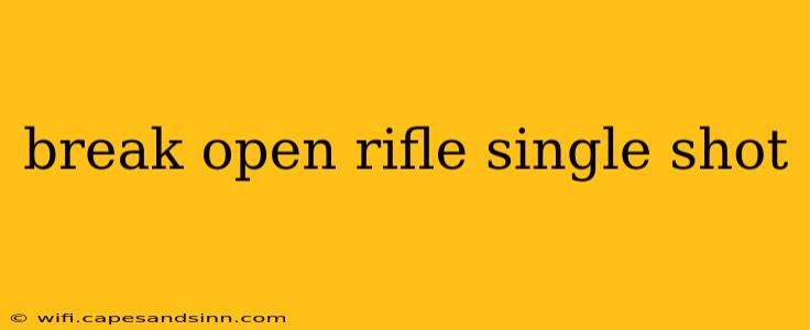 break open rifle single shot