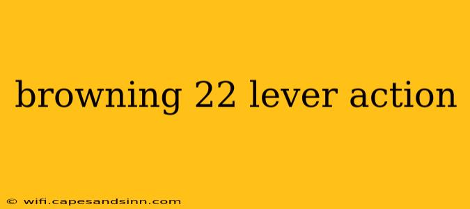 browning 22 lever action