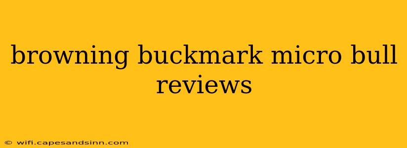 browning buckmark micro bull reviews