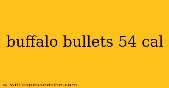 buffalo bullets 54 cal