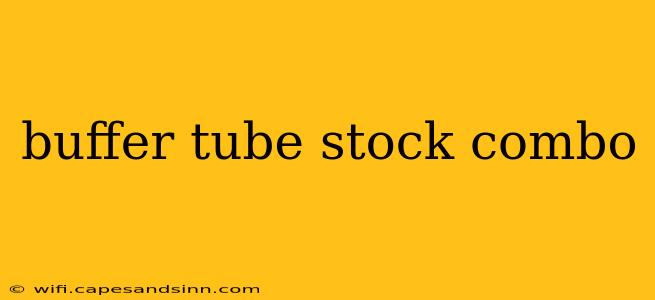 buffer tube stock combo