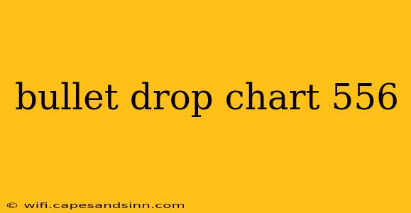 bullet drop chart 556