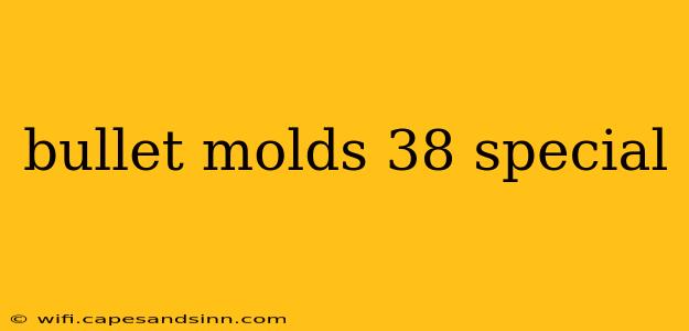 bullet molds 38 special